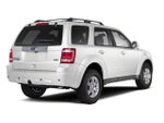 2010 Ford Escape FWD 4dr XLT